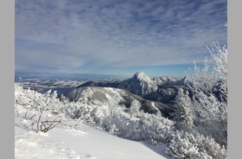 Gröller Hospitality