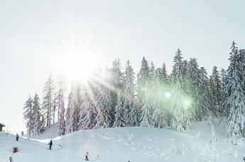 Genießerhotel Sonnhof by Vitus Winkler