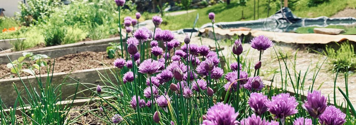 Gaumenkitzel pur: Neues Design für 3-Hauben-Restaurant im Molzbachhof Gaumenkitzel pur: Neues Design für 3-Hauben-Restaurant im Molzbachhof