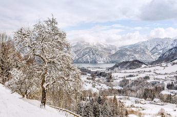 Gröller Hospitality