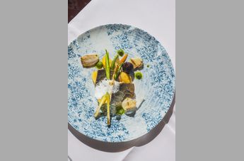 Genießerhotel Tristachersee