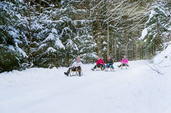 Gröller Hospitality