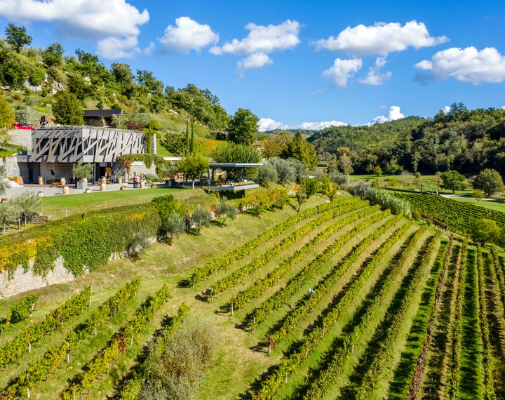 Weingut Kozlović Weingut Kozlović