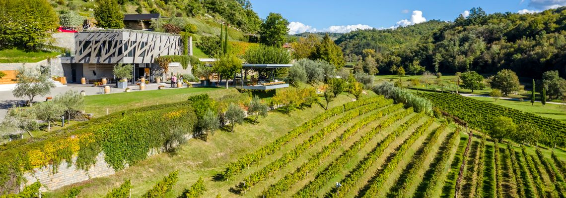 Istriens Designer-Weingut Kozlović: 10-Jahr-Jubiläum mit internationalen Erfolgen Istriens Designer-Weingut Kozlović: 10-Jahr-Jubiläum mit internationalen Erfolgen
