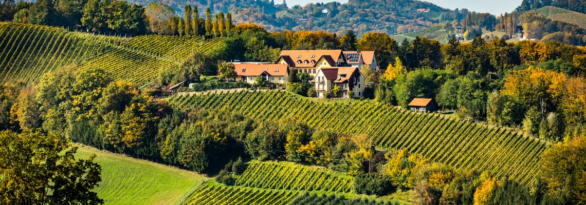 Gourmet-BBQ und herrlich wohnen am Top-Weingut Gourmet-BBQ und herrlich wohnen am Top-Weingut