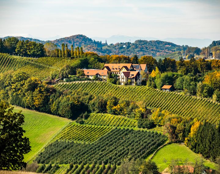 Genießerhotel und Weingut Sattlerhof Genießerhotel und Weingut Sattlerhof