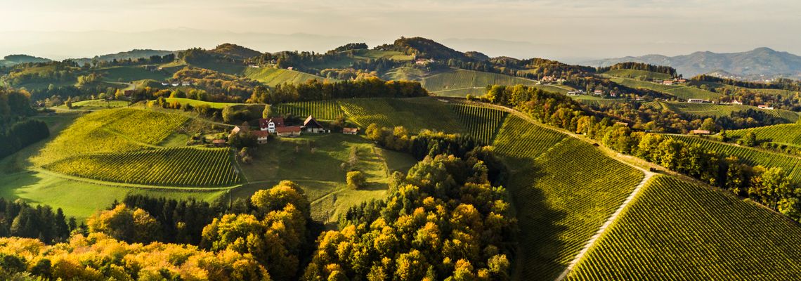 Berlin, Hamburg oder Düsseldorf: ein Katzensprung in die Südsteiermark Berlin, Hamburg oder Düsseldorf: ein Katzensprung in die Südsteiermark
