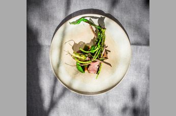 Genießerhotel Mühltalhof