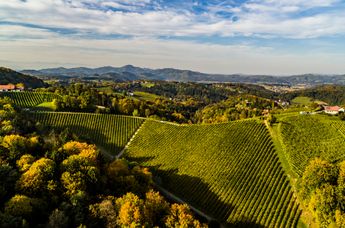 Genießerhotel und Weingut Sattlerhof