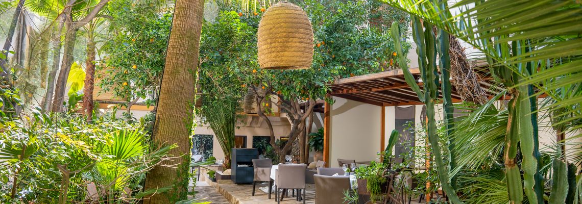 Megatrend Städtereisen ans Meer – mit kulinarischen Erlebnissen unter Palmen Megatrend Städtereisen ans Meer – mit kulinarischen Erlebnissen unter Palmen