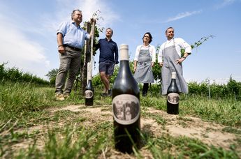 Weingut Wieninger, JRE Wiener Gemischter Satz