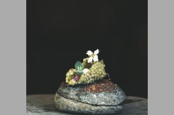 Genießerhotel Sonnhof by Vitus Winkler