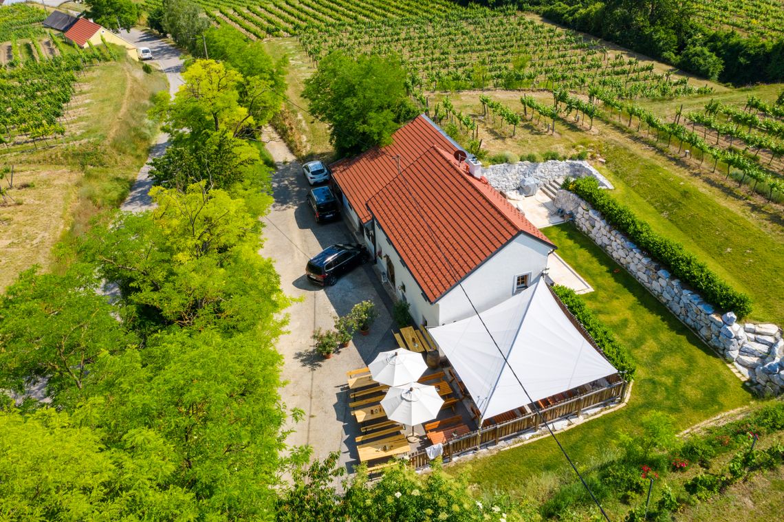 Vigne's Weinkeller Frühlingsgenuss pur: Die Kulinarik-Highlights bei Familie Vigne