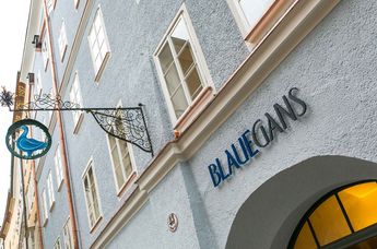 Arthotel Blaue Gans