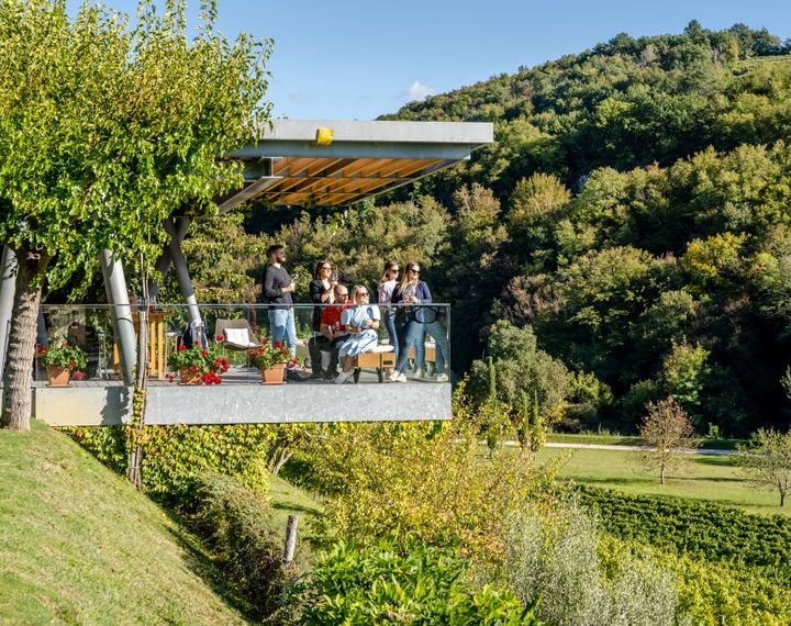 Weingut Kozlović Weingut Kozlović