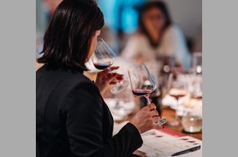 Döllerers Weinwerkstatt