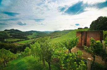 Genießerhotel und Weingut Sattlerhof