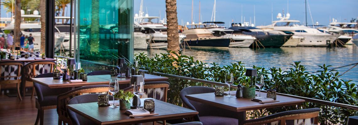 Weiße Trüffel: Die Saison auf Mallorca hat begonnen Weiße Trüffel: Die Saison auf Mallorca hat begonnen