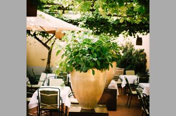 Geschwister Rauch & Genießerhotel Villa Rosa