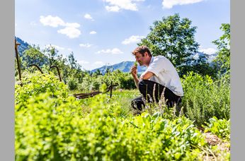 Genießer-Romantik Hotel Das Schiff