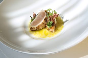 Hotel Alhambra Losinj Hotels & Villas