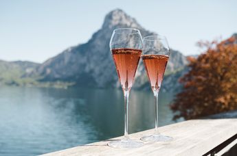 Das Traunsee - Das Hotel zum See