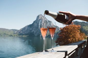 Das Traunsee - Das Hotel zum See