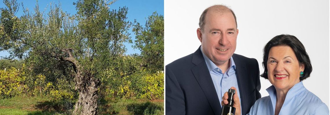 New York – St. Wolfgang – Sveti Lovrec 2023 Weltklasse-Olivenöl mit österreichischer Handschrift New York – St. Wolfgang – Sveti Lovrec 2023 Weltklasse-Olivenöl mit österreichischer Handschrift