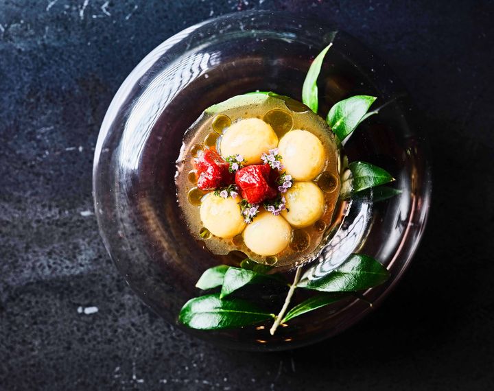 Rau – nature based cuisine Rau – nature based cuisine