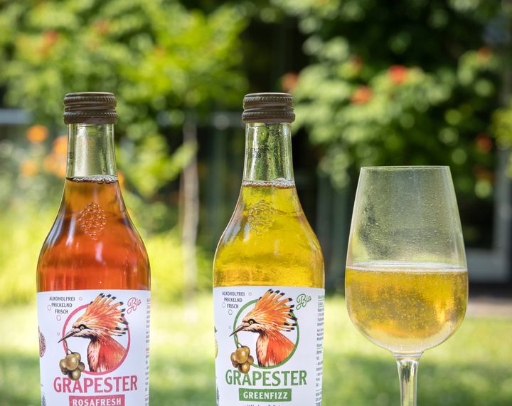 Weingut Bründlmayer – Grapester Weingut Bründlmayer – Grapester