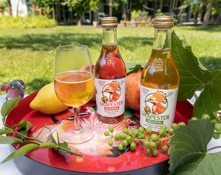 Weingut Bründlmayer – Grapester Weingut Bründlmayer – Grapester