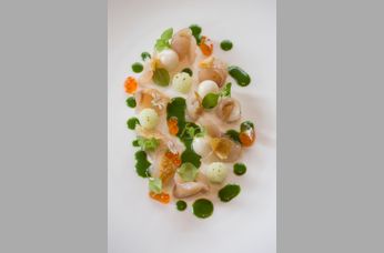 Rau - nature based cuisine